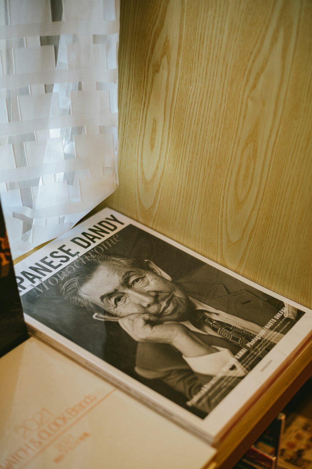 celebrity dossier book